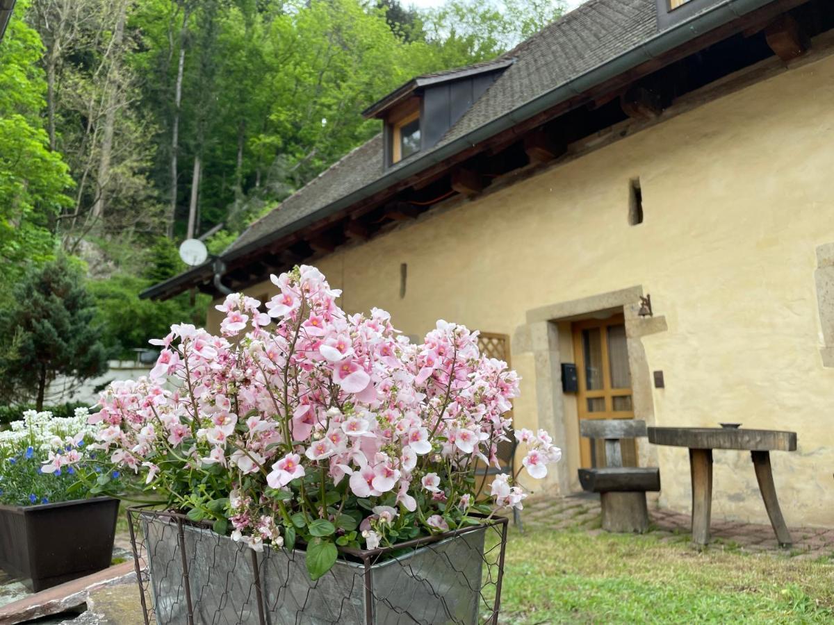 Bed & Breakfast Muellers Klostermuehle Münstertal Eksteriør bilde